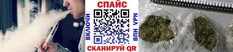 Бутират вода OMG ONION Пласт