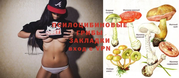 ГАЛЛЮЦИНОГЕННЫЕ ГРИБЫ Навашино